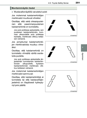 Page 251