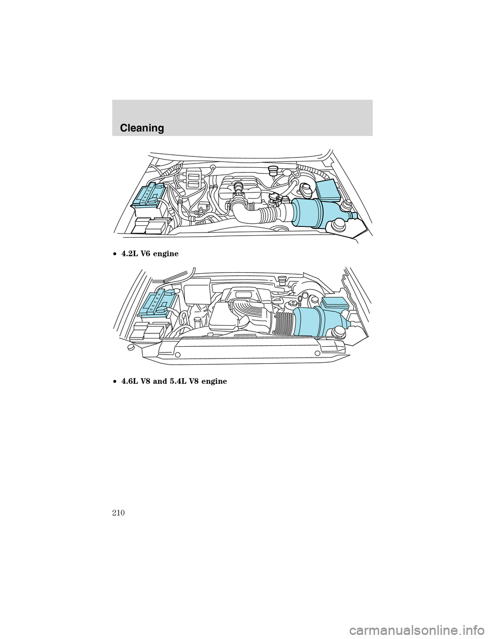LINCOLN BLACKWOOD 2003  Owners Manual •4.2L V6 engine
•4.6L V8 and 5.4L V8 engine
Cleaning
210 