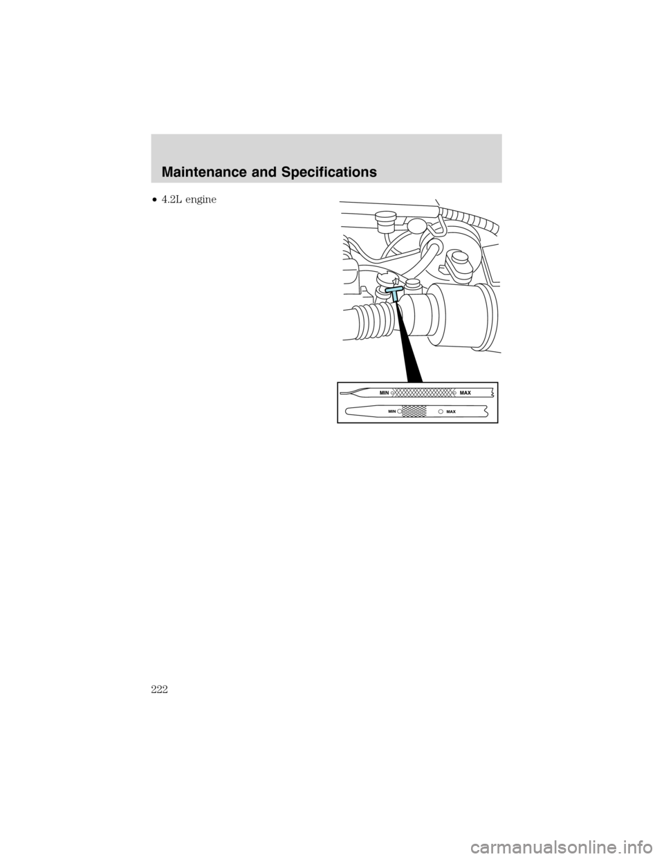 LINCOLN BLACKWOOD 2003  Owners Manual •4.2L engine
Maintenance and Specifications
222 