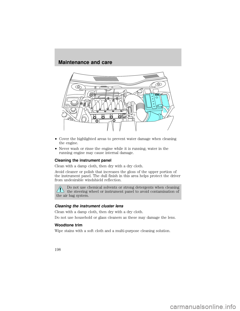 LINCOLN CONTINENTAL 2001  Owners Manual ²Cover the highlighted areas to prevent water damage when cleaning
the engine.
²Never wash or rinse the engine while it is running; water in the
running engine may cause internal damage.
Cleaning th