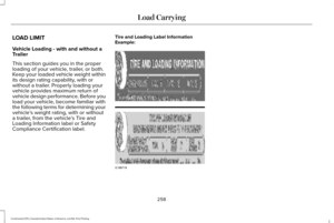 Page 261
