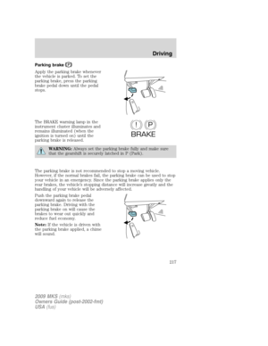 Page 217
