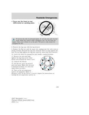 Page 239