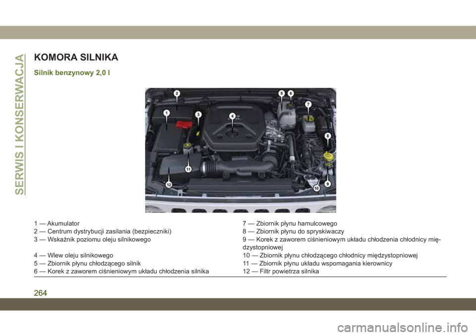 JEEP WRANGLER UNLIMITED 2019  Instrukcja obsługi (in Polish) KOMORA SILNIKA
Silnik benzynowy 2,0 l
1 — Akumulator 7 — Zbiornik płynu hamulcowego
2 — Centrum dystrybucji zasilania (bezpieczniki) 8 — Zbiornik płynu do spryskiwaczy
3 — Wskaźnik poziom