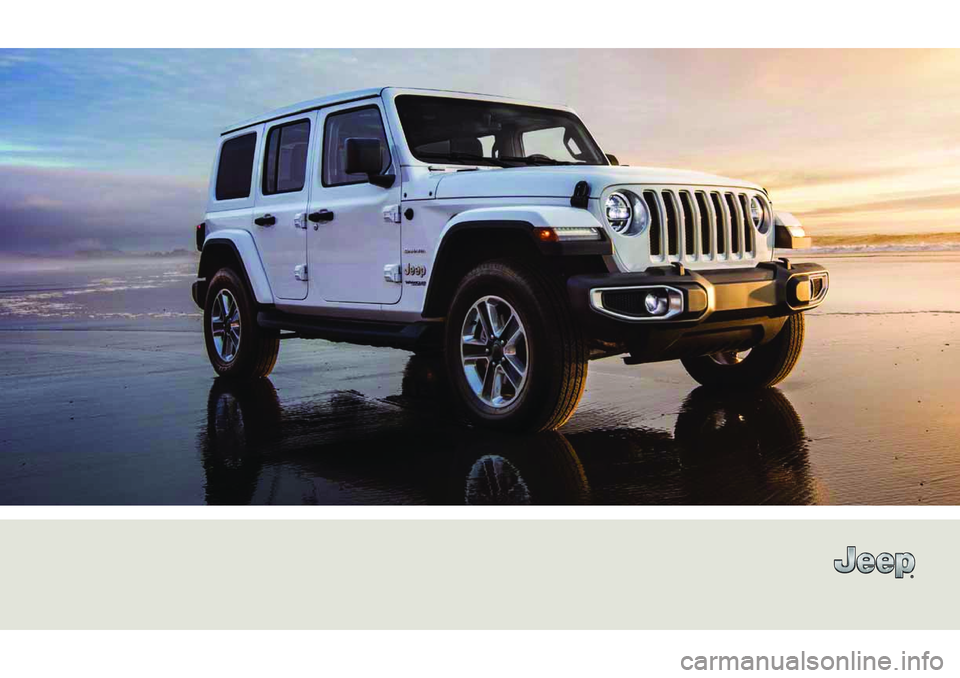 JEEP WRANGLER 2DOORS 2021  Libretto Uso Manutenzione (in Italian) 