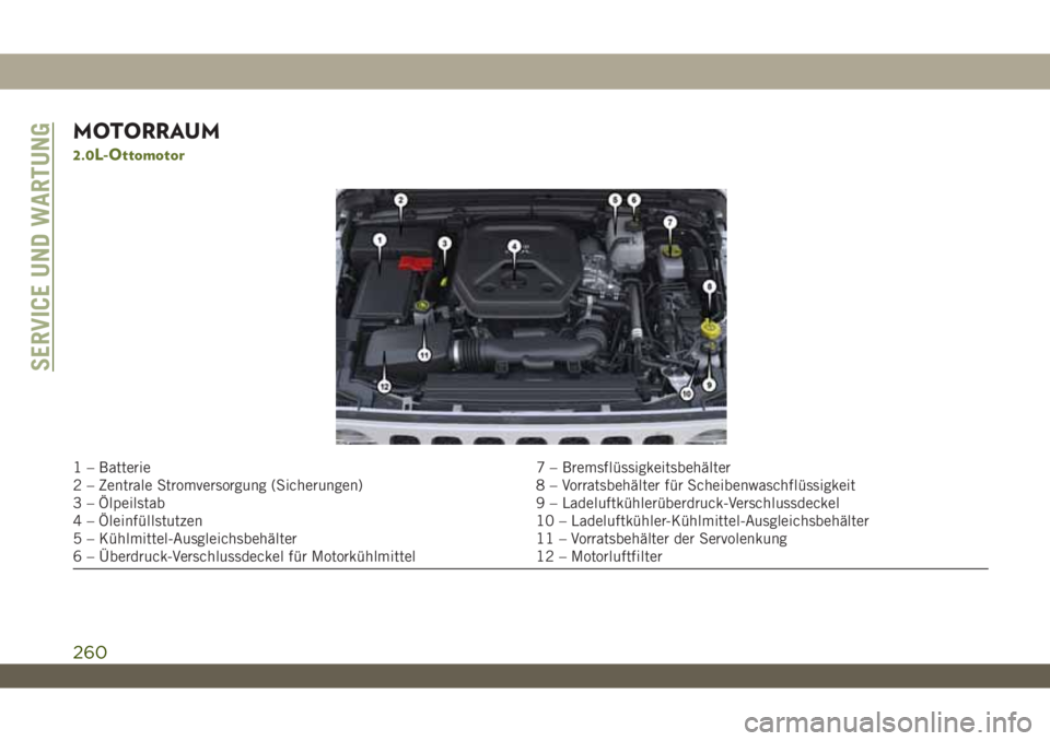 JEEP WRANGLER 2DOORS 2019  Betriebsanleitung (in German) MOTORRAUM
2.0L-Ottomotor
1 – Batterie 7 – Bremsflüssigkeitsbehälter
2 – Zentrale Stromversorgung (Sicherungen) 8 – Vorratsbehälter für Scheibenwaschflüssigkeit
3 – Ölpeilstab 9 – Lad