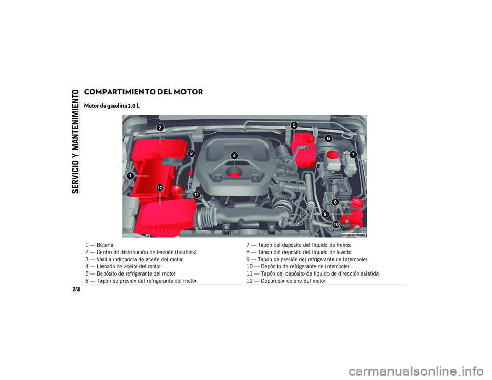 JEEP WRANGLER 2DOORS 2020  Manual de Empleo y Cuidado (in Spanish) SERVICIO Y MANTENIMIENTO
250
COMPARTIMIENTO DEL MOTOR  
Motor de gasolina 2.0 L 
1 — Batería7 — Tapón del depósito del líquido de frenos
2 — Centro de distribución de tensión (fusibles) 8 