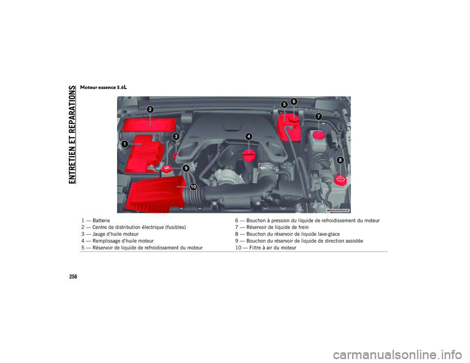 JEEP WRANGLER 2DOORS 2020  Notice dentretien (in French) ENTRETIEN ET REPARATIONS
256
Moteur essence 3.6L 
1 — Batterie6 — Bouchon à pression du liquide de refroidissement du moteur
2 — Centre de distribution électrique (fusibles) 7 — Réservoir d
