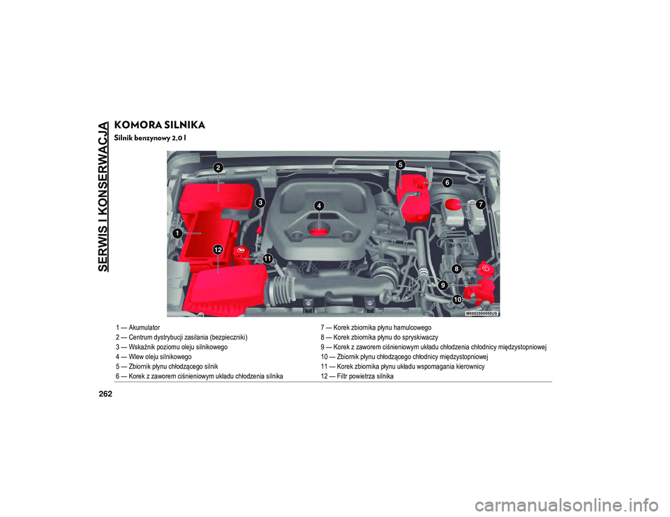 JEEP WRANGLER 2DOORS 2021  Instrukcja obsługi (in Polish) SERWIS I KONSERWACJA
262
KOMORA SILNIKA  
Silnik benzynowy 2,0 l 

1 — Akumulator7 — Korek zbiornika płynu hamulcowego
2 — Centrum dystrybucji zasilania (bezpieczniki) 8 — Korek zbiornika pł
