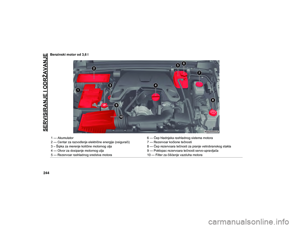 JEEP WRANGLER 2DOORS 2021  Knjižica za upotrebu i održavanje (in Serbian) SERVISIRANJE I ODRŽAVANJE
244
Benzinski motor od 3,6 l 
1 — Akumulator6 — Čep hladnjaka rashladnog sistema motora
2 — Centar za razvođenje električne energije (osigurači) 7 — Rezervoar ko