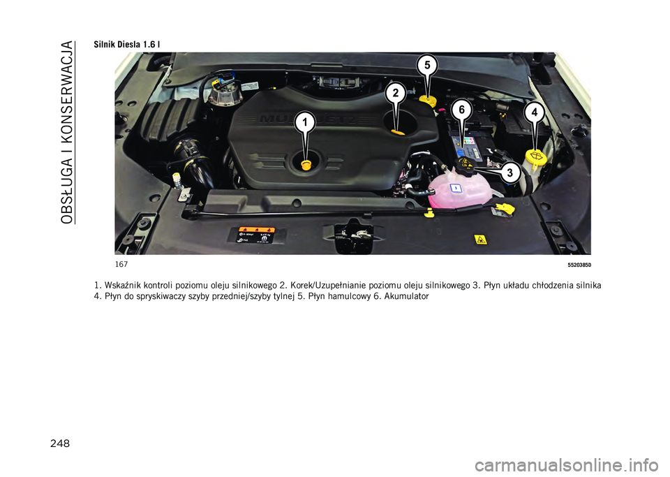 JEEP COMPASS 2021  Instrukcja obsługi (in Polish) ��5�P�=�I�+�-�B��F��*�5�:�=�9�C�(�B�,��B
������!��� �3����!� �R�$�S �!
�G�R�W
�O�O�M�L�N�V�O�3
�G� �(��
��.���
 �
������� ������
� ���	�� ������
���	�� �