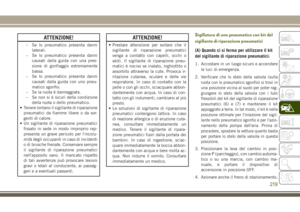 Page 221