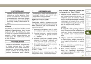 Page 243