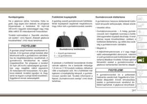 Page 243