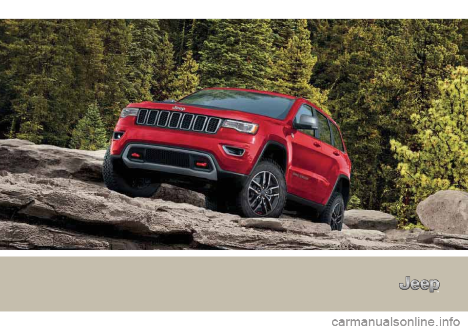 JEEP GRAND CHEROKEE 2018  Betriebsanleitung (in German) 