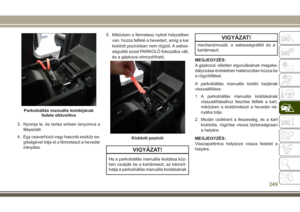 Page 251