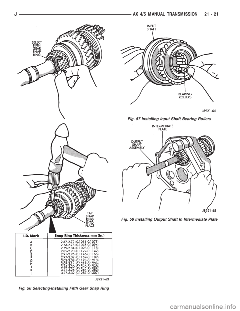 JEEP WRANGLER 1995  Owners Manual Fig. 57 Installing Input Shaft Bearing Rollers
Fig. 58 Installing Output Shaft In Intermediate Plate
JAX 4/5 MANUAL TRANSMISSION 21 - 21 