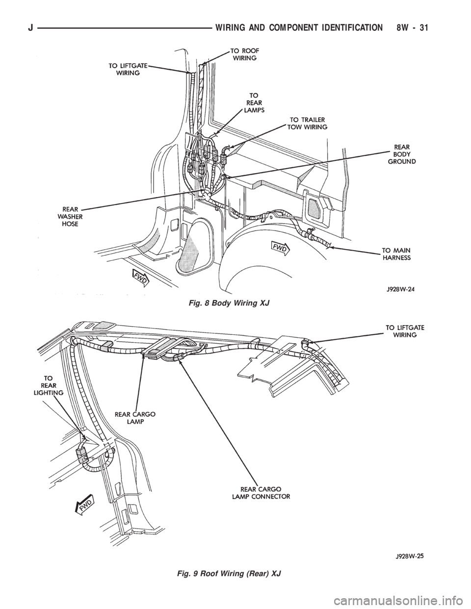 JEEP CHEROKEE 1994  Service Repair Manual Fig. 8 Body Wiring XJ
Fig. 9 Roof Wiring (Rear) XJ
JWIRING AND COMPONENT IDENTIFICATION 8W - 31 