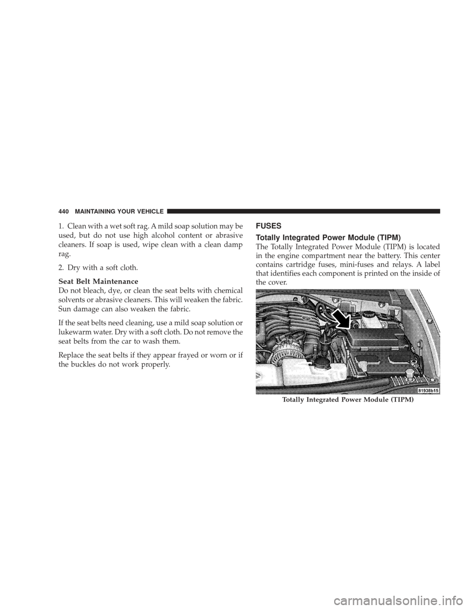 JEEP LIBERTY 2009 KK / 2.G Owners Manual 1. Clean with a wet soft rag. A mild soap solution may be
used, but do not use high alcohol content or abrasive
cleaners. If soap is used, wipe clean with a clean damp
rag.
2. Dry with a soft cloth.
S