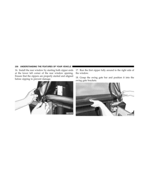 Page 231