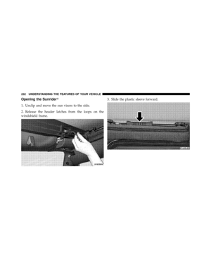 Page 233