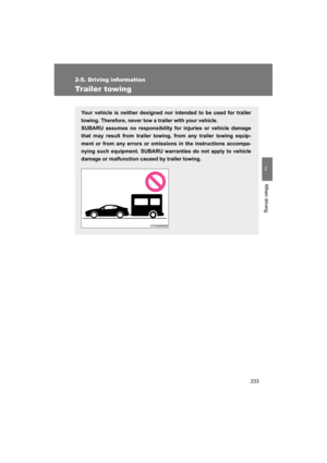 Page 233