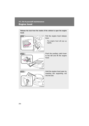 Page 294