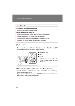 Page 300