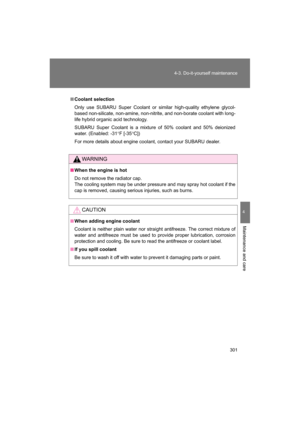Page 301