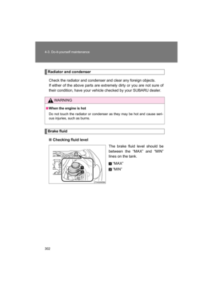 Page 302