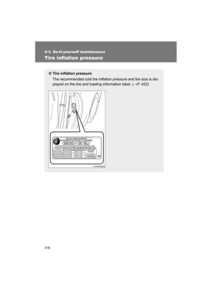 Page 318