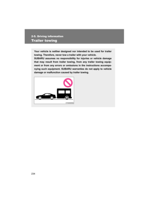 Page 234