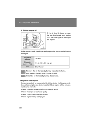 Page 300