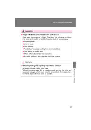 Page 323