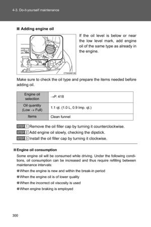 Page 301