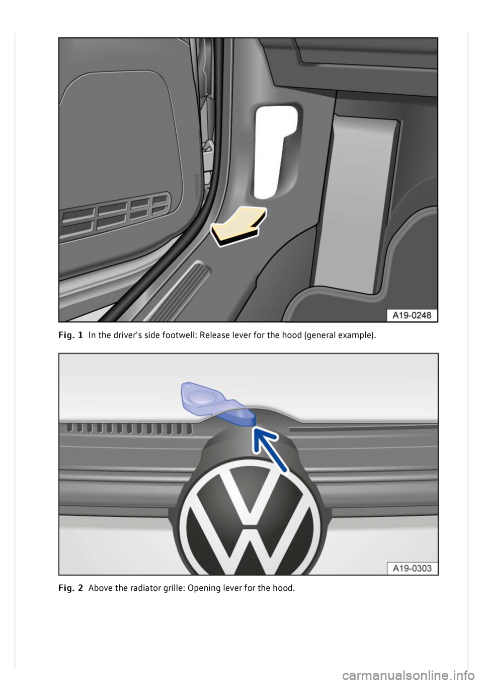 VOLKSWAGEN GOLF MK8 2020  Owners Manual 