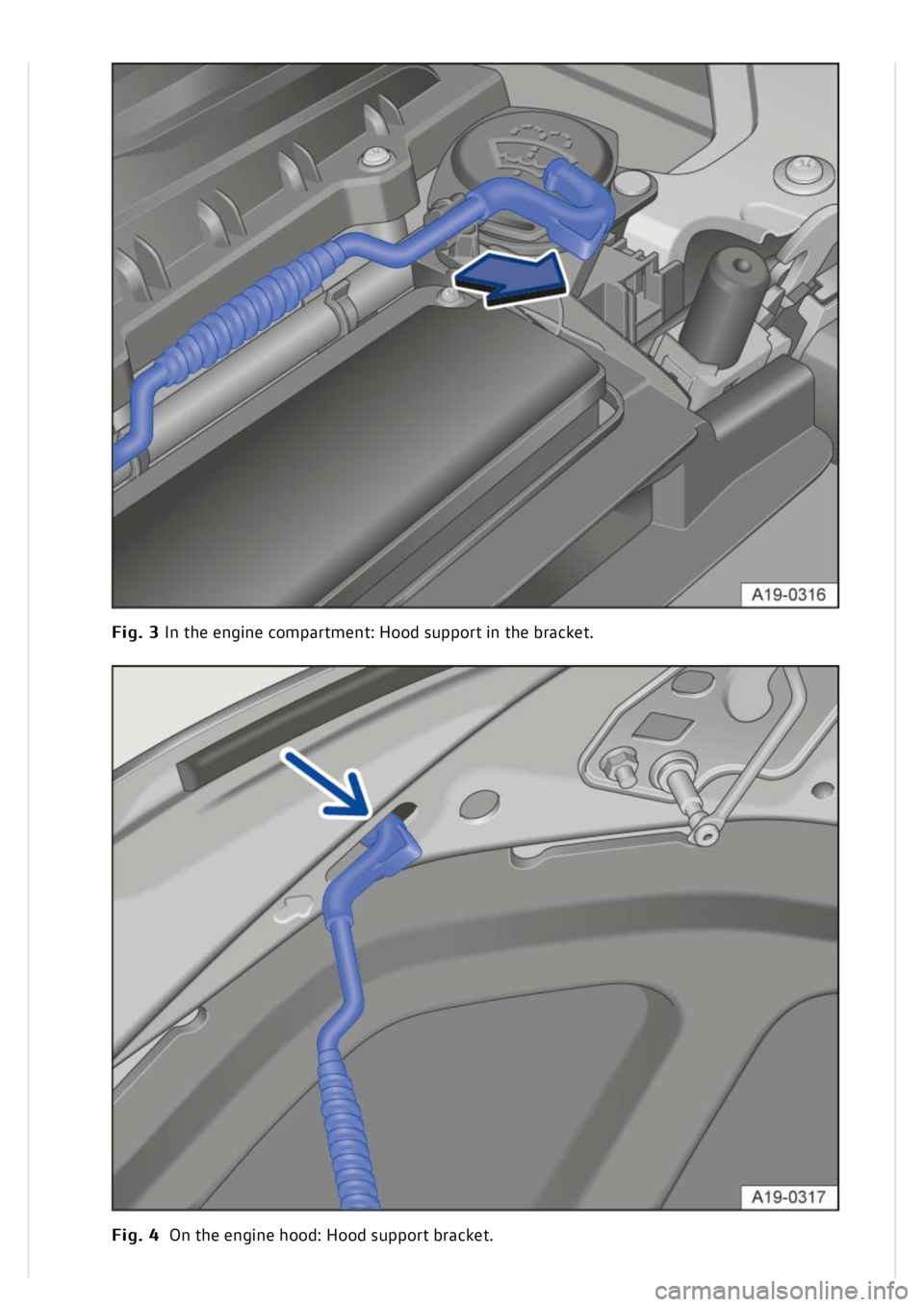 VOLKSWAGEN GOLF MK8 2020  Owners Manual 