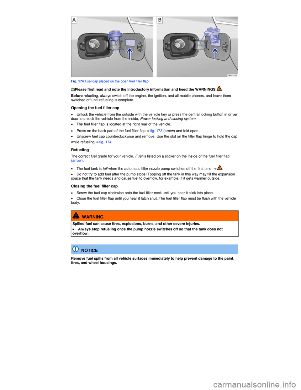 VOLKSWAGEN PASSAT 2010  Owners Manual  
 
Fig. 174 Fuel cap placed on the open fuel filler flap. 
�