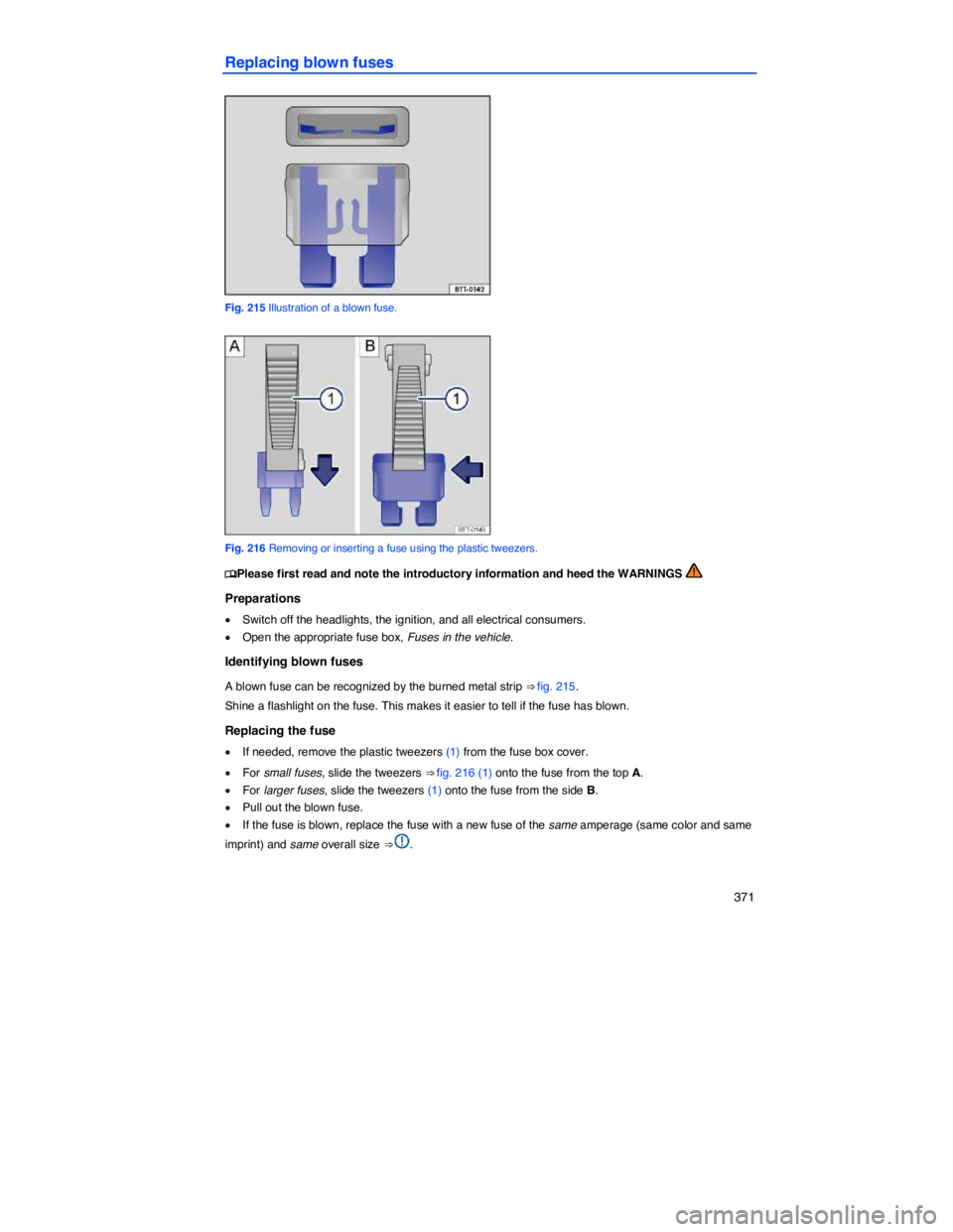 VOLKSWAGEN PASSAT 2009  Owners Manual    371 
Replacing blown fuses 
 
Fig. 215 Illustration of a blown fuse. 
 
Fig. 216 Removing or inserting a fuse using the plastic tweezers. 
�