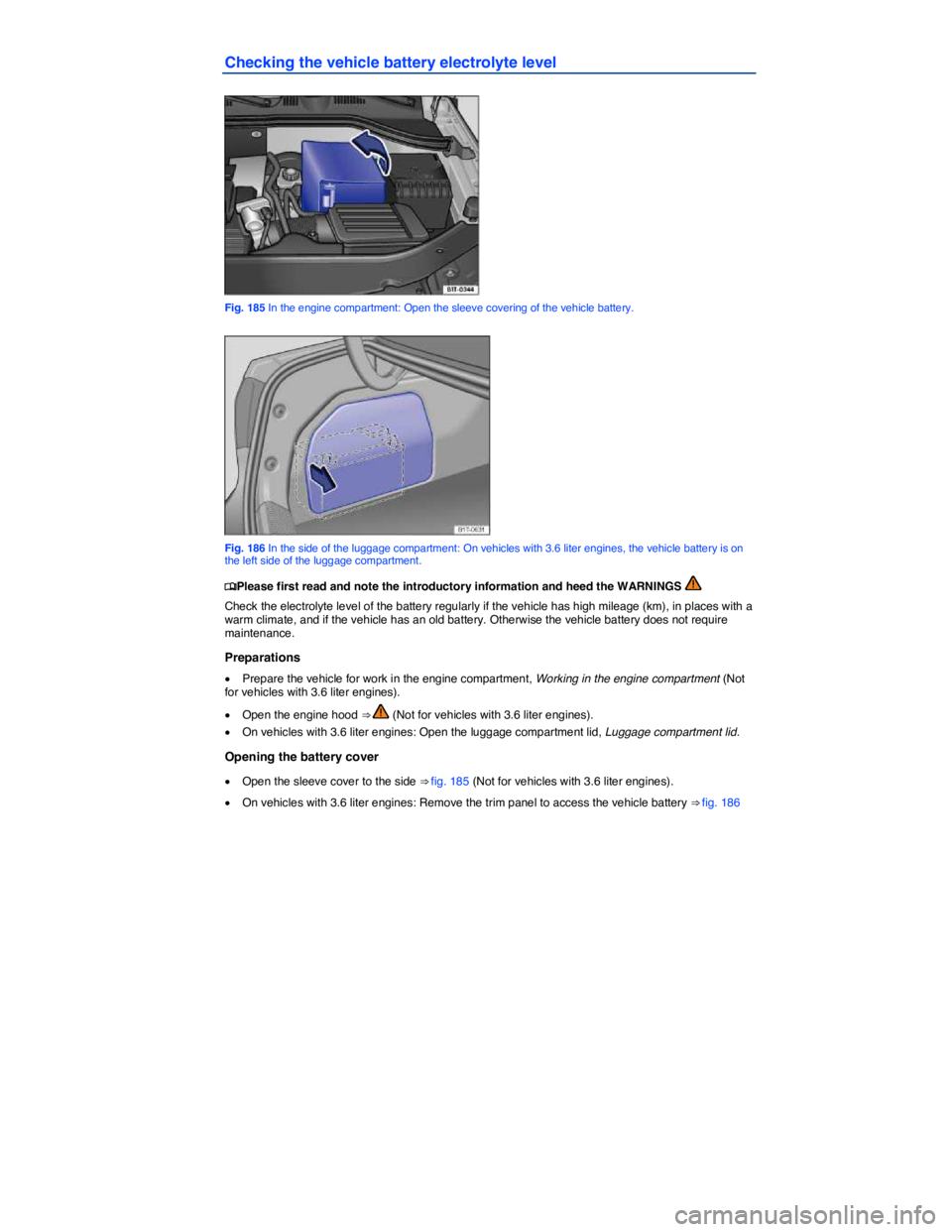 VOLKSWAGEN PASSAT 2008  Owners Manual  
Checking the vehicle battery electrolyte level 
 
Fig. 185 In the engine compartment: Open the sleeve covering of the vehicle battery. 
 
Fig. 186 In the side of the luggage compartment: On vehicles
