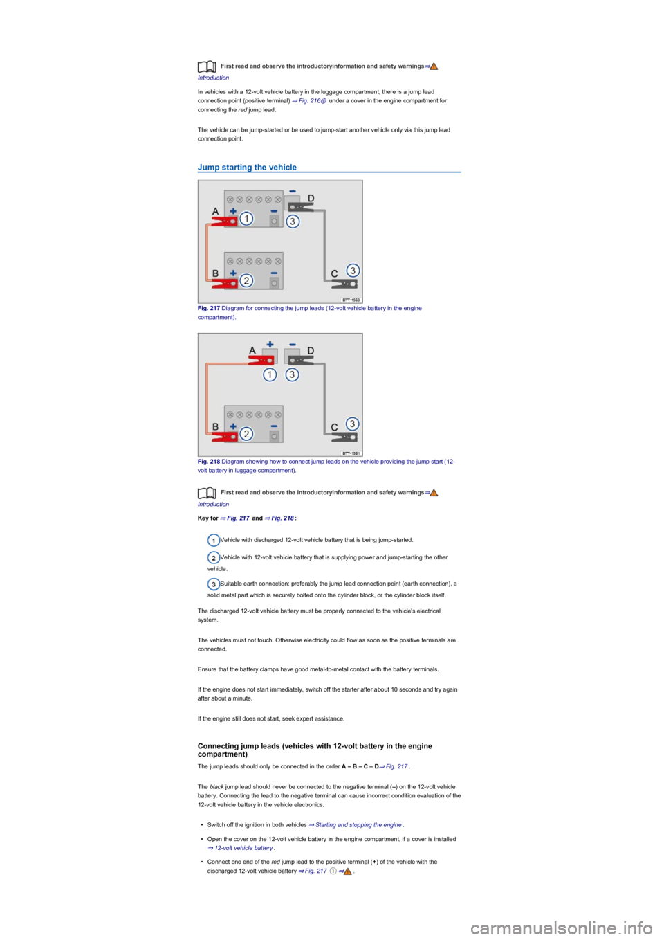 VOLKSWAGEN TIGUAN 2021  Owners Manual First read and observe the introductoryinformation and safety warnings⇒
Introduction
In vehicles with a 12-volt vehicle battery in the luggage compartment, there is a jump lead 
connection point (po