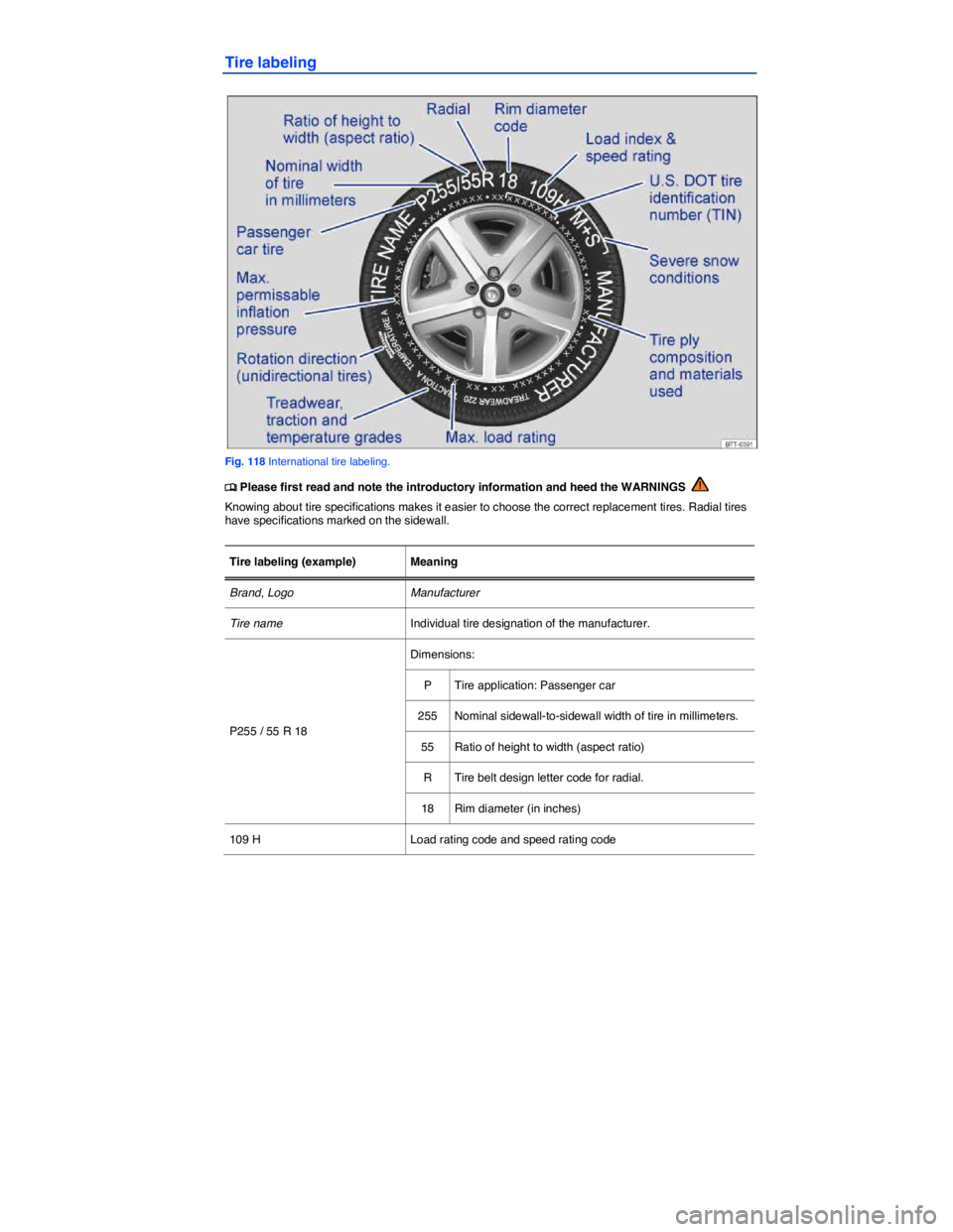 VOLKSWAGEN TIGUAN 2011  Owners Manual  
Tire labeling 
 
Fig. 118 International tire labeling. 
�