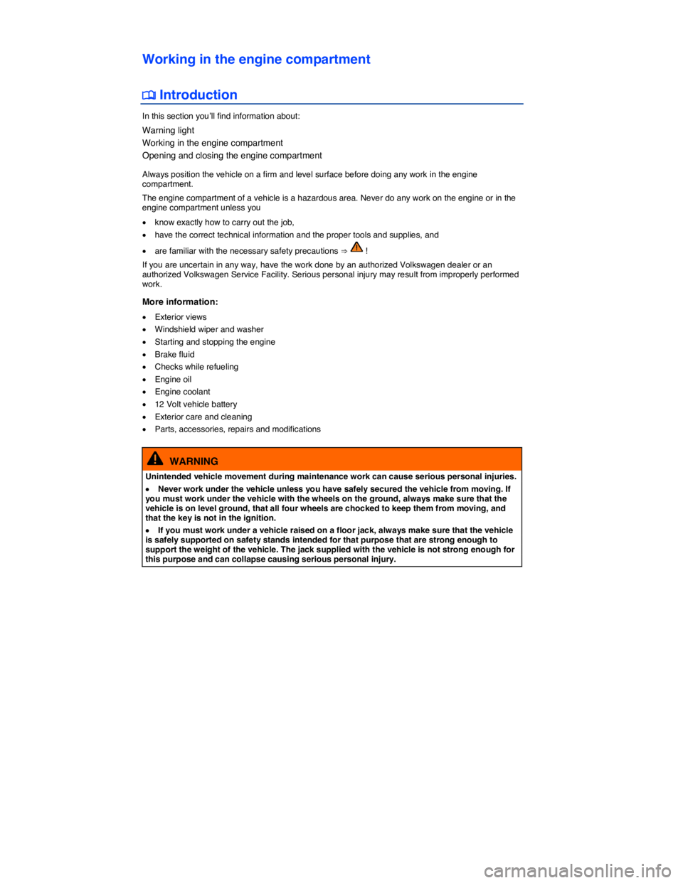 VOLKSWAGEN TIGUAN 2008  Owners Manual  
Working in the engine compartment 
 