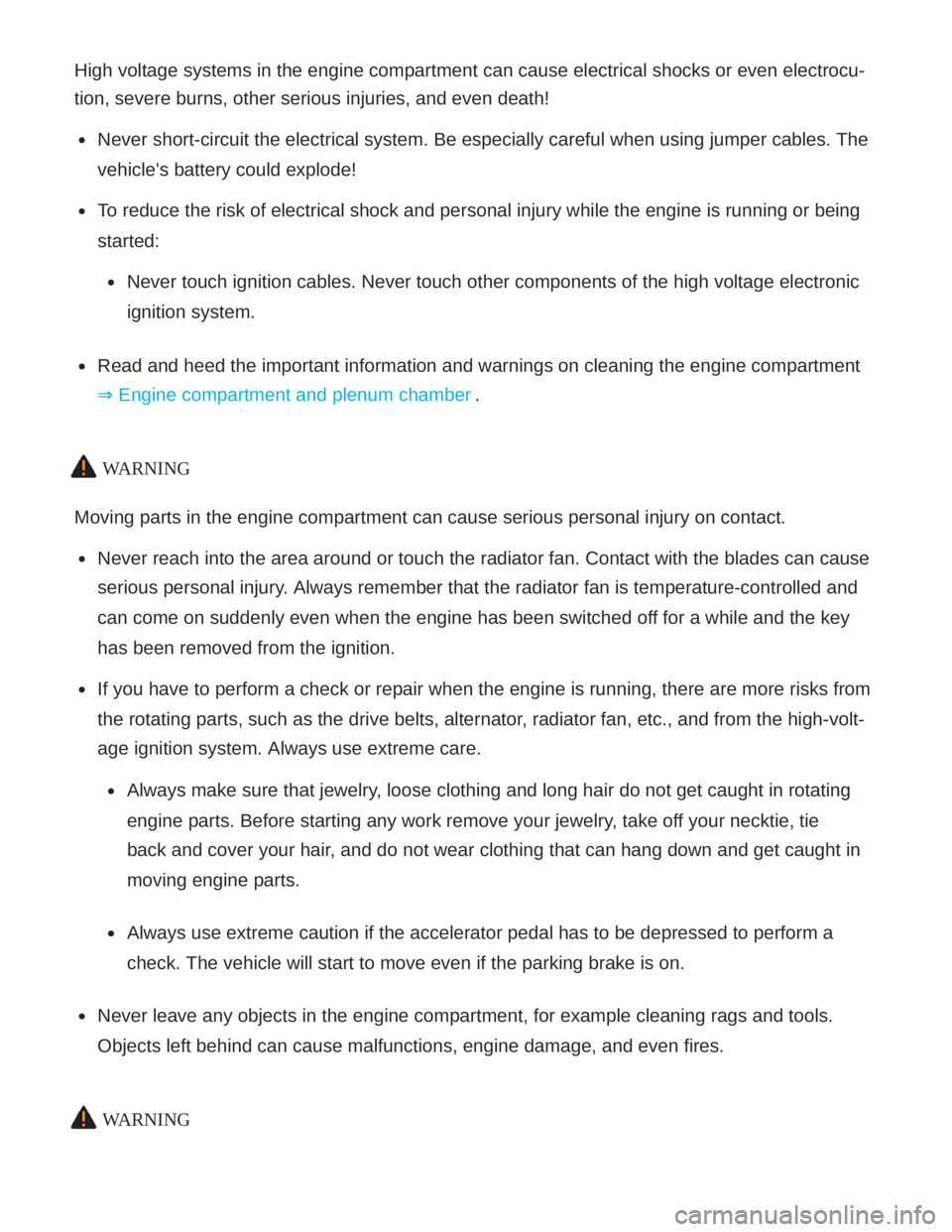 VOLKSWAGEN ATLAS 2021  Owners Manual 