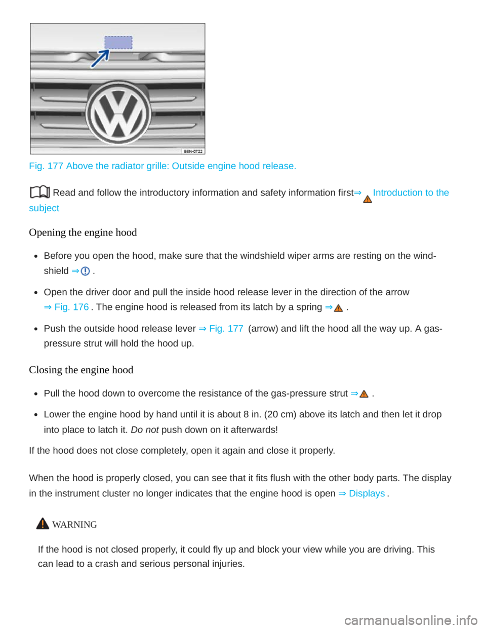 VOLKSWAGEN ATLAS 2021  Owners Manual 