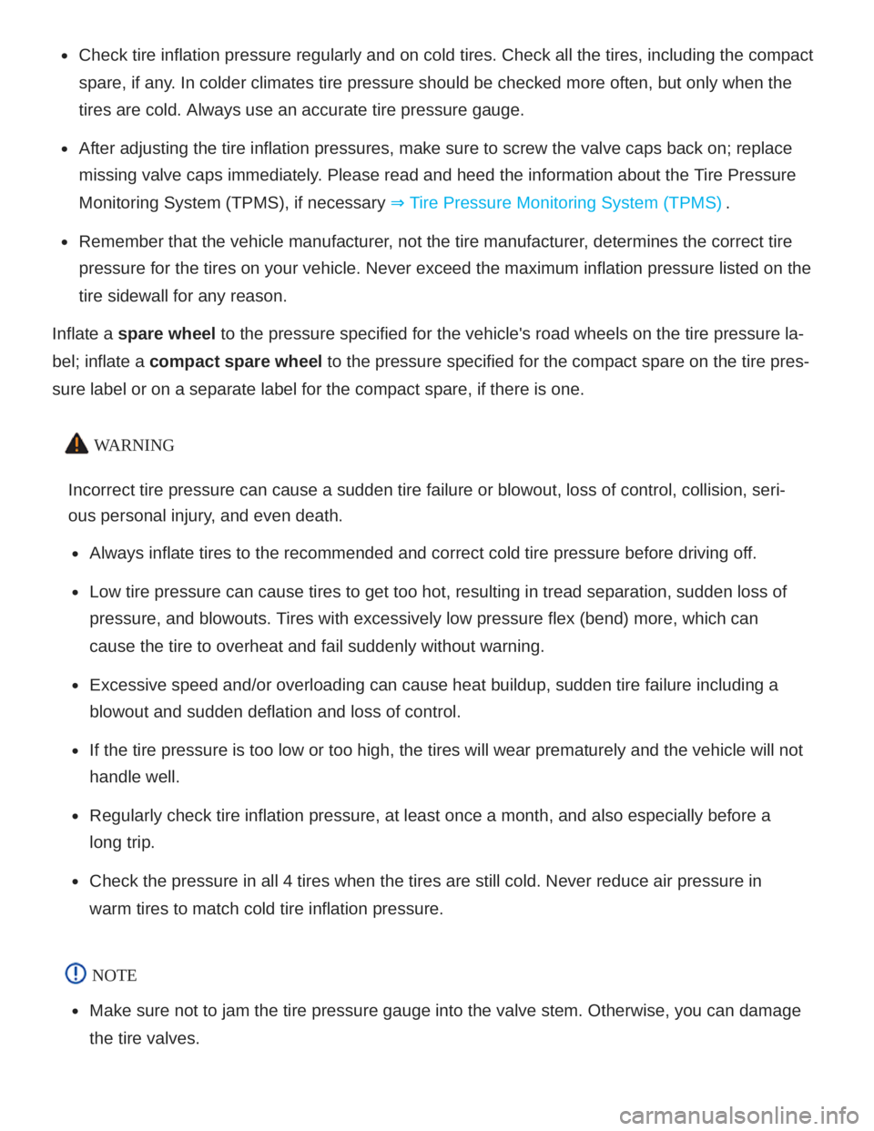 VOLKSWAGEN ATLAS 2021  Owners Manual 