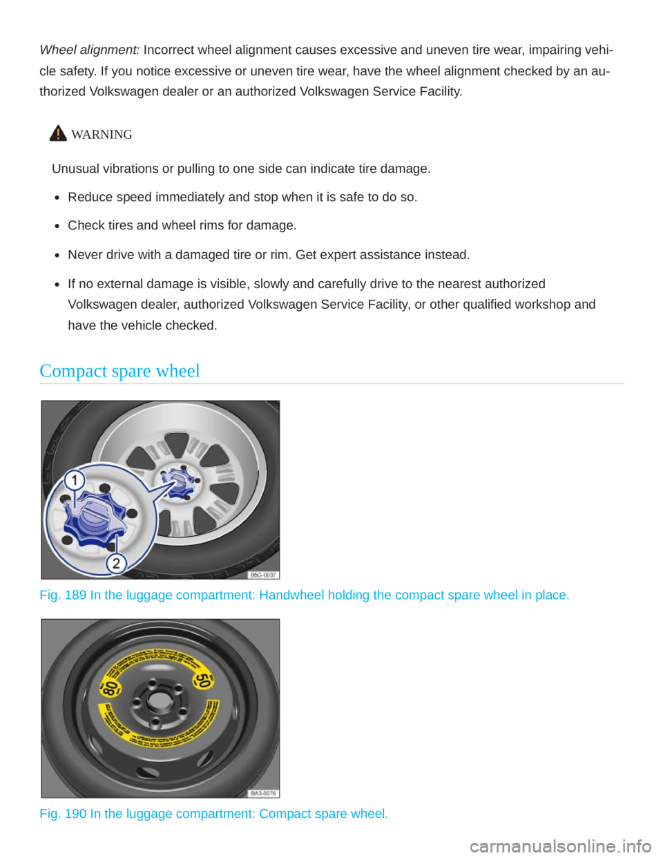 VOLKSWAGEN ATLAS 2021  Owners Manual 