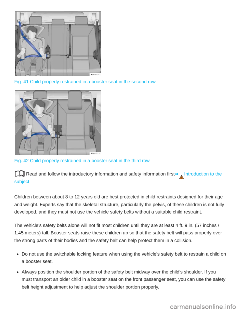 VOLKSWAGEN ATLAS 2020  Owners Manual 