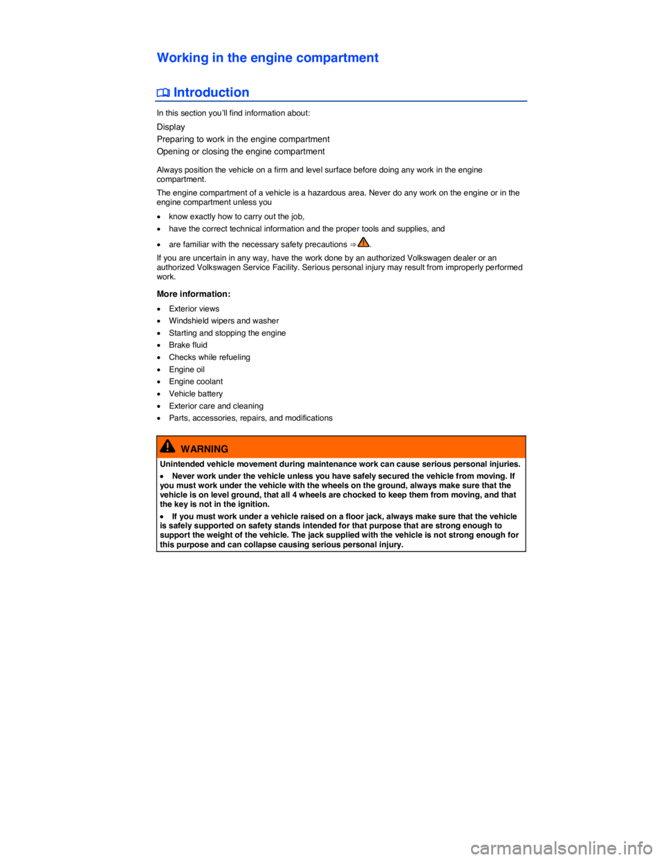 VOLKSWAGEN BEETLE 2017  Owners Manual  
Working in the engine compartment 
�