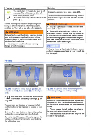 Page 262